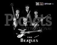 The Shea Beatles